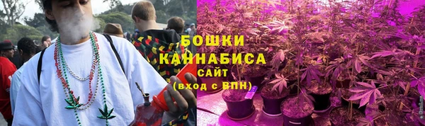 амф Арсеньев