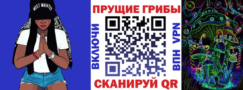 Галлюциногенные грибы мухоморы  цена наркотик  Губкин 